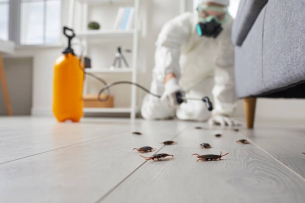Commercial Kitchen Cockroach Control in Tiltonsville